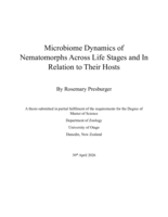 Microbiome Dynamics of Nematomorphs Across Life Stages and In Relation to Their Hosts