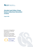 Alcohol and Other Drug harm reduction literature review