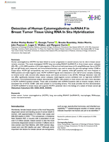 Detection of Human Cytomegalovirus lncRNA4.9 in Breast Tumor Tissue Using RNA In Situ Hybridization