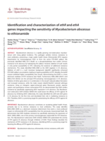 Identification and characterization of ethR and ethA genes impacting the sensitivity of Mycobacterium abscessus to ethionamide