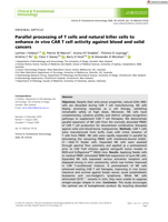 Parallel processing of T&nbsp;cells and natural killer cells to enhance in vivo CAR T&nbsp;cell activity against blood and solid cancers