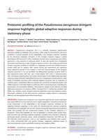 Proteomic profiling of the Pseudomonas aeruginosa stringent response highlights global adaptive responses during stationary phase