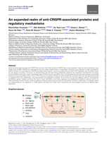 An expanded realm of anti-CRISPR-associated proteins and regulatory mechanisms