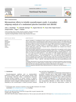 Micronutrient Effects in Irritable Neurodivergent Youth: A Secondary Subgroup Analysis of a Randomised Placebo-controlled Trial (BEAM)