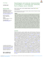 Morphological and molecular characterization of nematodes in a freshwater fish community from La Mojana, Sucre, Colombia