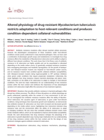 Altered physiology of drug-resistant Mycobacterium tuberculosis restricts adaptation to host-relevant conditions and produces condition-dependent collateral vulnerabilities