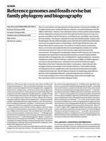 Reference genomes and fossils revise bat family phylogeny and biogeography