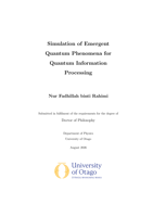 Simulation of emergent quantum phenomena for quantum information processing