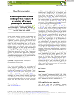 Convergent mutations underpin the repeated evolution of brown plumage in seabirds
