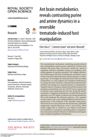 Ant brain metabolomics reveals contrasting purine and amine dynamics in a reversible trematode-induced host manipulation