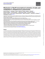 Mechanism of NanR transcriptional activation of sialic acid metabolism in Streptococcus pneumoniae